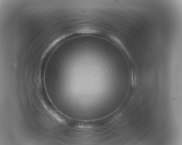 X0000081410531200701261826