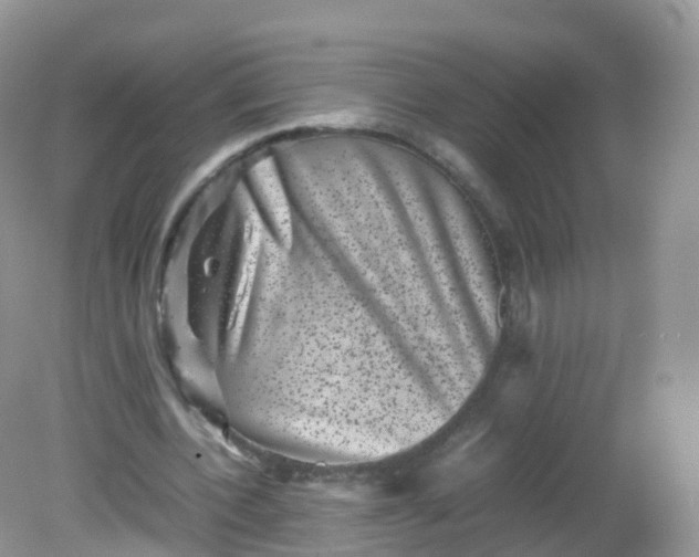 X0000081410532200701261826