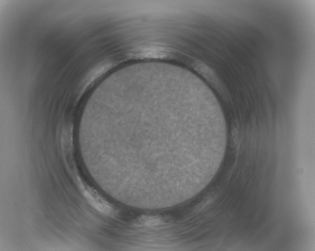 X0000081410534200701261826