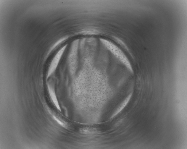 X0000081410535200701261826