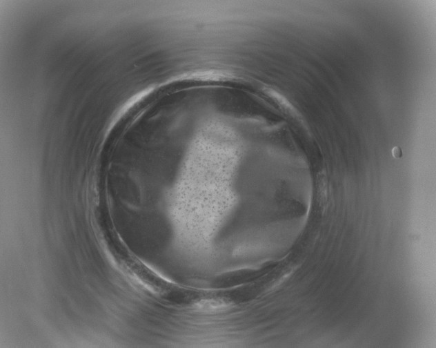 X0000081410536200701261826