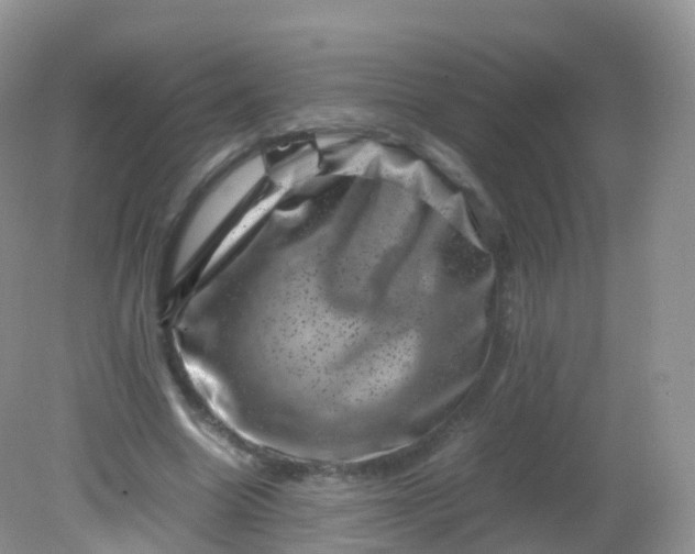 X0000081410538200701261826