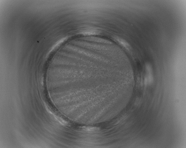X0000081410539200701261826