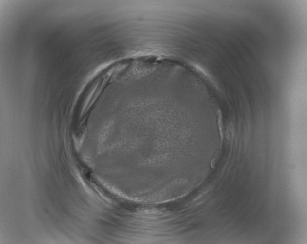 X0000081410540200701261826