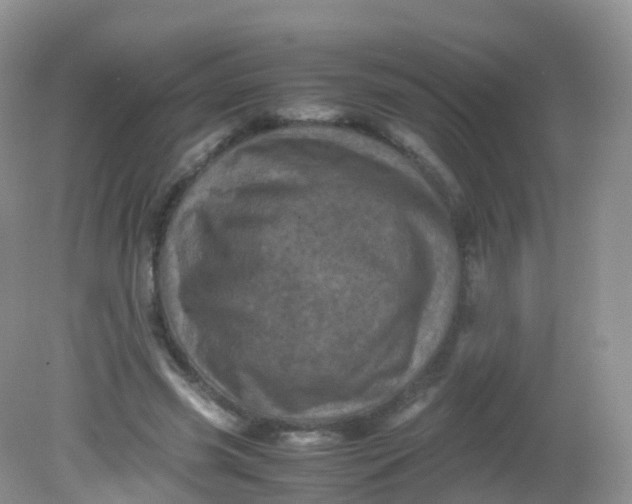 X0000081410541200701261826