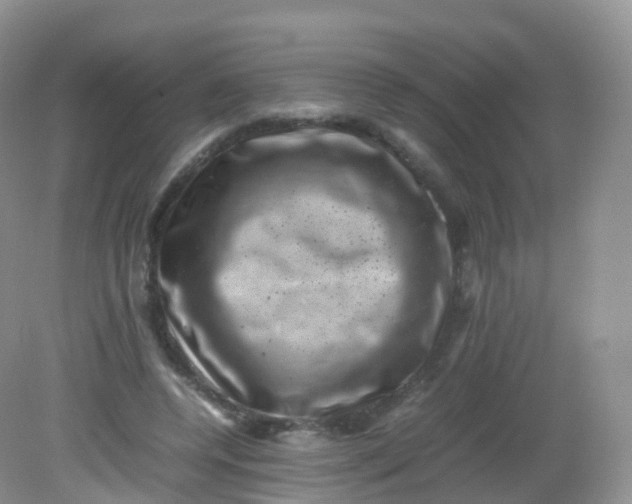 X0000081410544200701261826