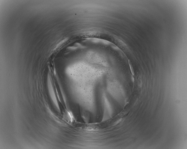 X0000081410546200701261826