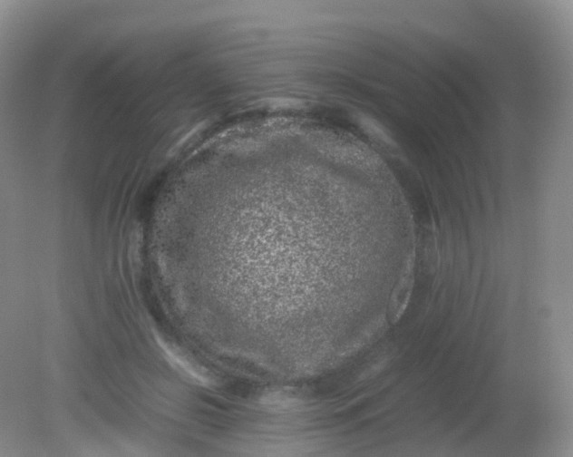 X0000081410550200701261826