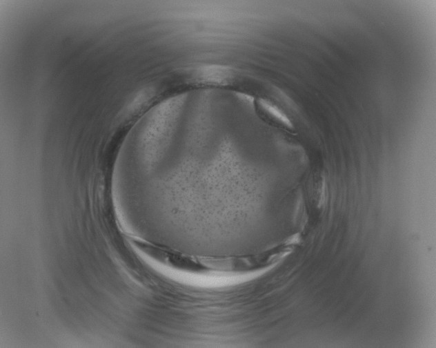 X0000081410552200701261826