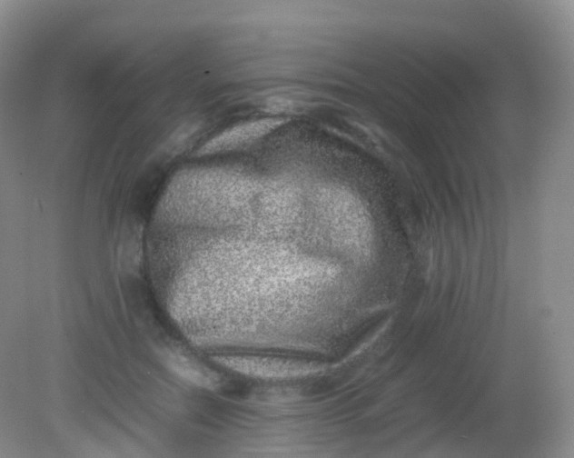 X0000081410554200701261826