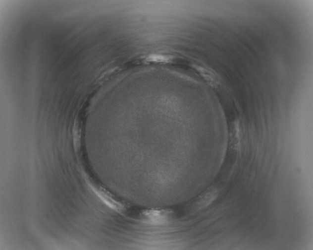 X0000081410558200701261827