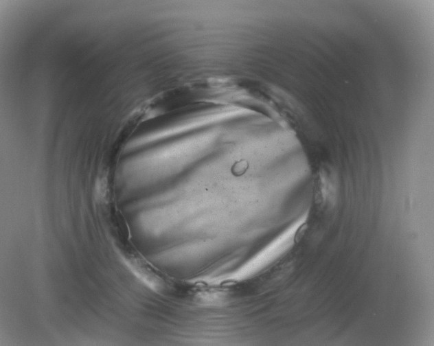 X0000081410560200701261827