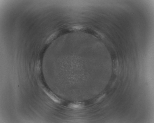 X0000081410563200701261827