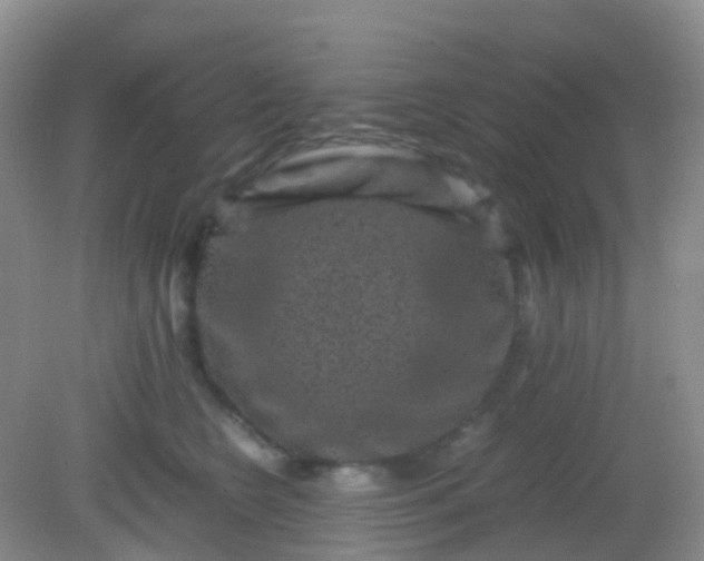 X0000081410566200701261827