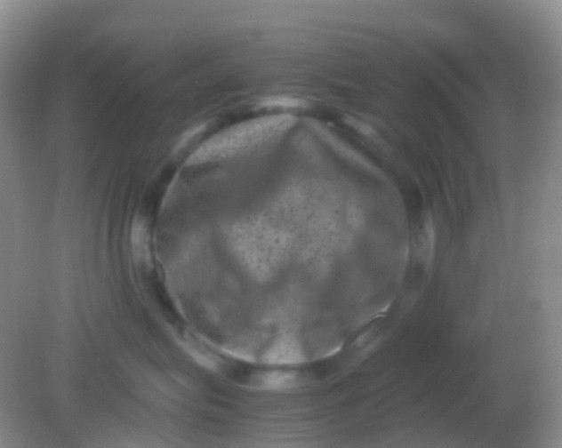 X0000081410575200701261827
