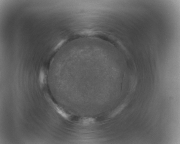 X0000081410576200701261827