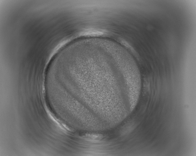 X0000081410582200701261826