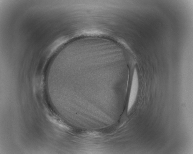X0000081410583200701261826