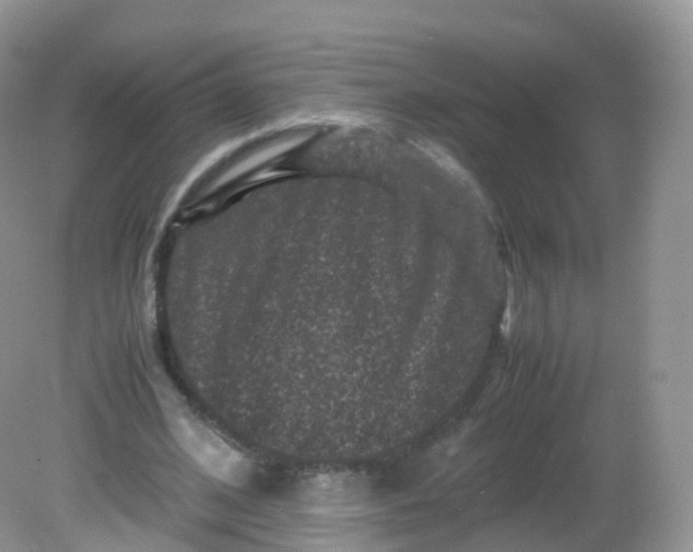 X0000081410584200701261826