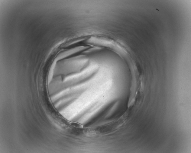 X0000081410587200701261826