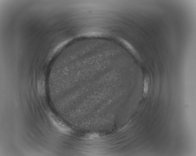 X0000081410588200701261826