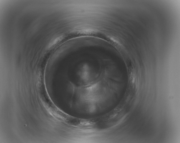 X0000081410591200701261826