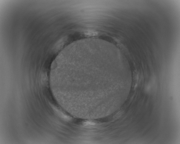 X0000081410614200701261825