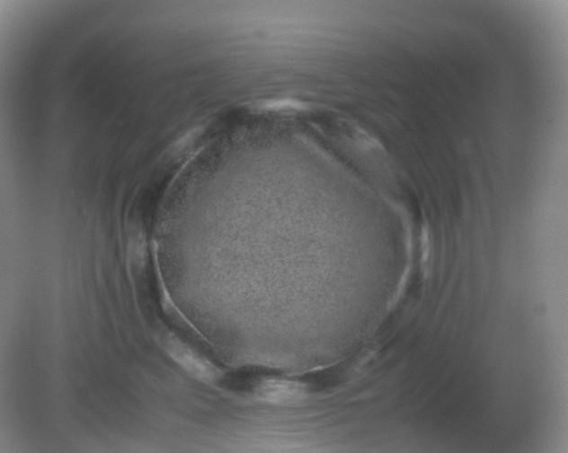 X0000081410617200701261825