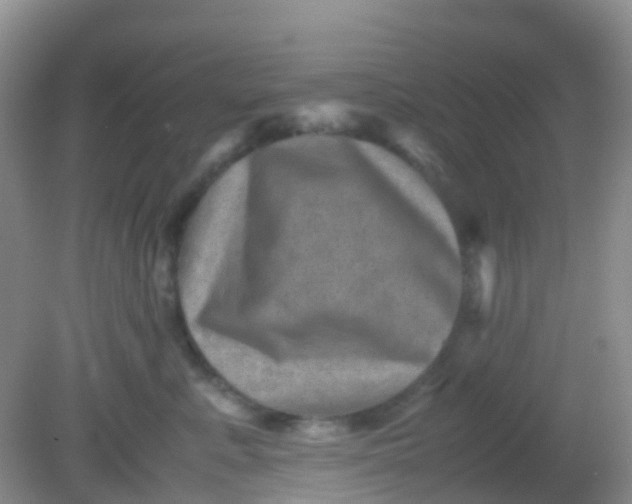 X0000081410619200701261825