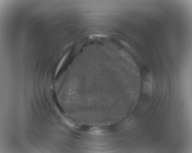 X0000081410620200701261825