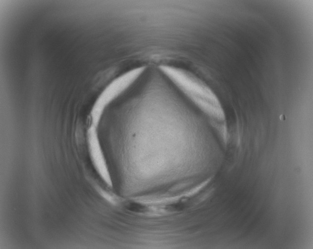 X0000081410623200701261825