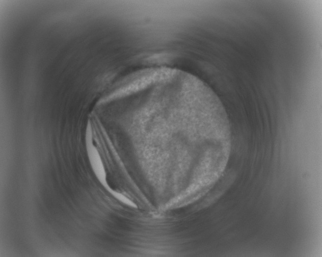 X0000081410624200701261825