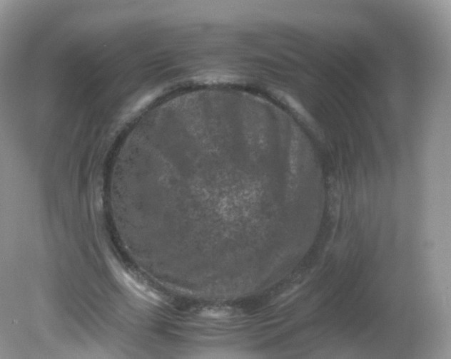 X0000081410631200701261825
