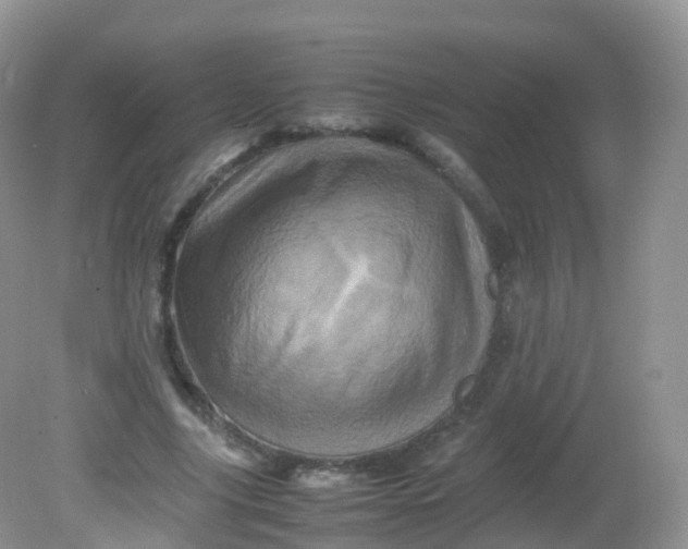 X0000081410635200701261825