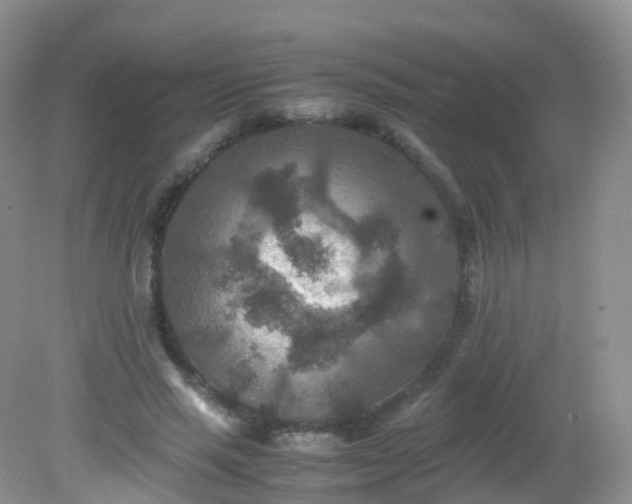 X0000081410637200701261825