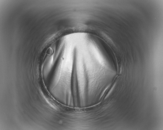 X0000081410638200701261825