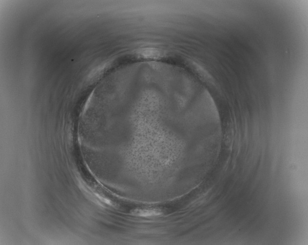 X0000081410639200701261825
