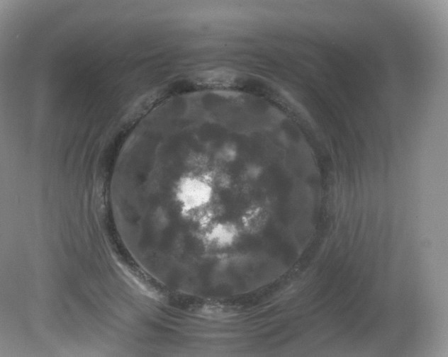 X0000081410641200701261825