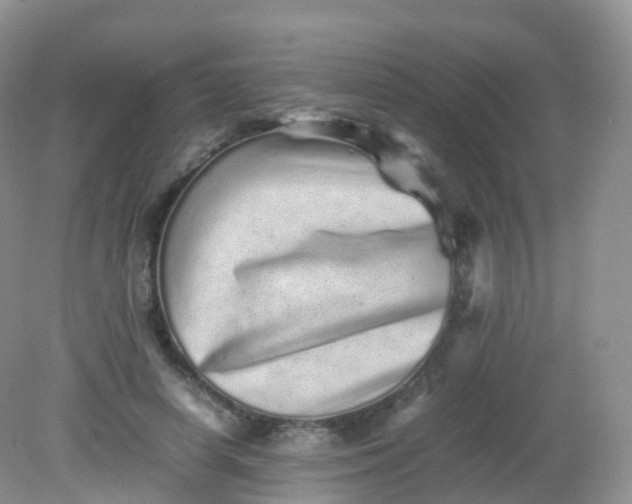 X0000081410642200701261825