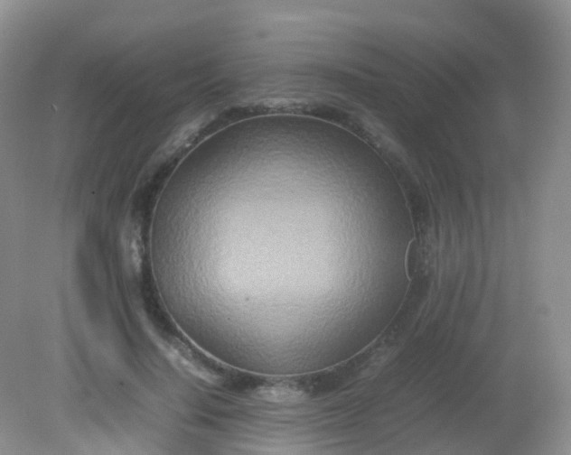 X0000081410644200701261825