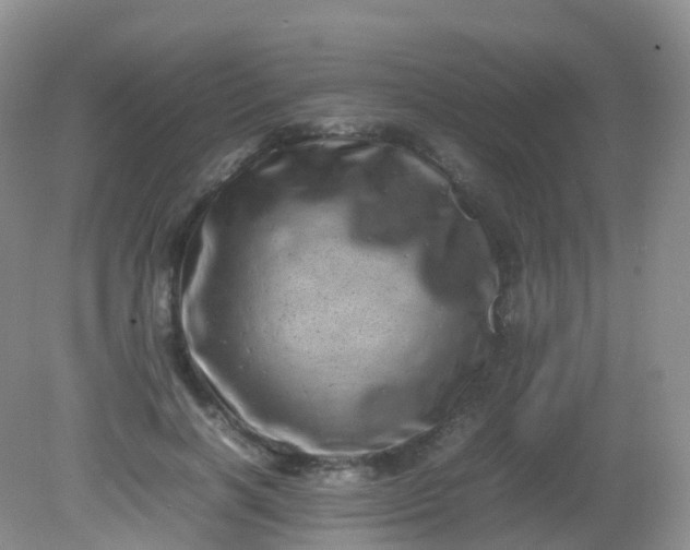 X0000081410646200701261825