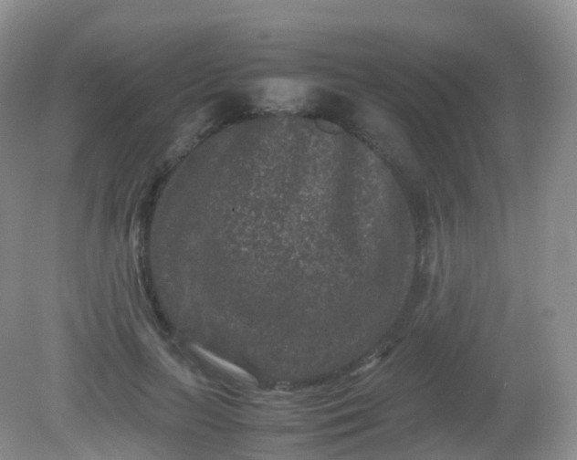 X0000081410647200701261825