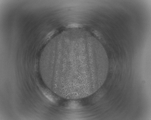 X0000081410656200701261825