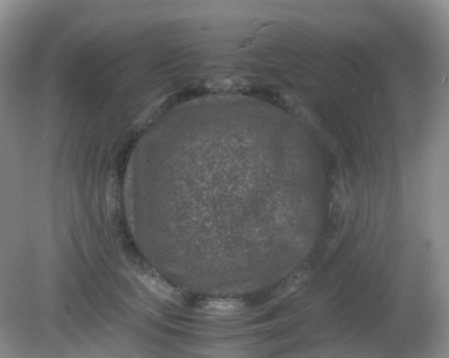 X0000081410659200701261825