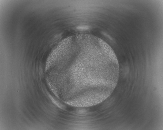 X0000081410662200701261825