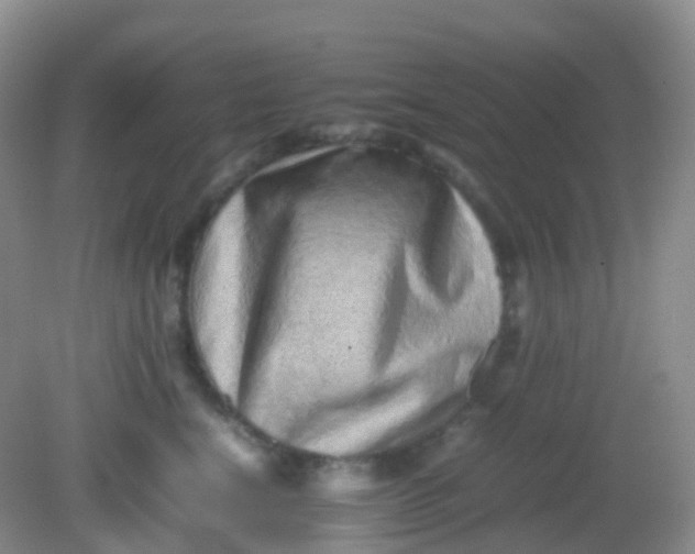 X0000081410664200701261825