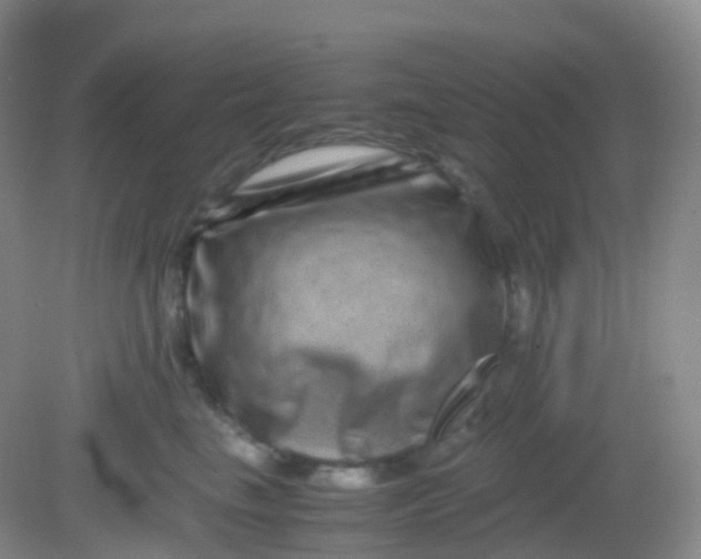 X0000081410665200701261825