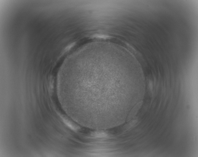 X0000081410668200701261825