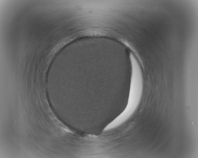 X0000081410673200701261824