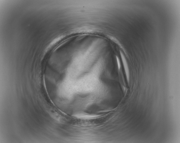 X0000081410675200701261824